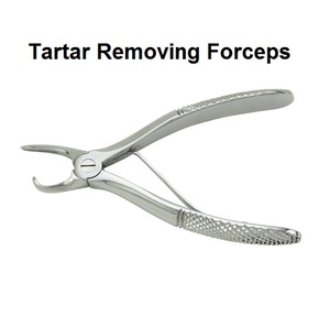 Forceps de extracción de punta de raíz, instrumentos de veterinaria hechos de acero inoxidable de calidad alemana - Product Image 3