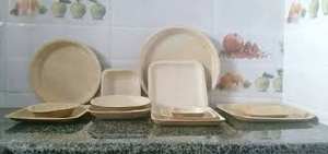 Placa de hoja de Areca ecológica Natural 100%, diseño de planta estampado grabado, ideal para fiestas y cuencos - Product Image 4