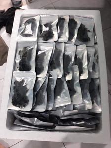 Emballage personnalisé de fruits de mer séchés, algues marines naturelles biologiques assaisonnées, raisins de mer salés assaisonnés - Product Image 3