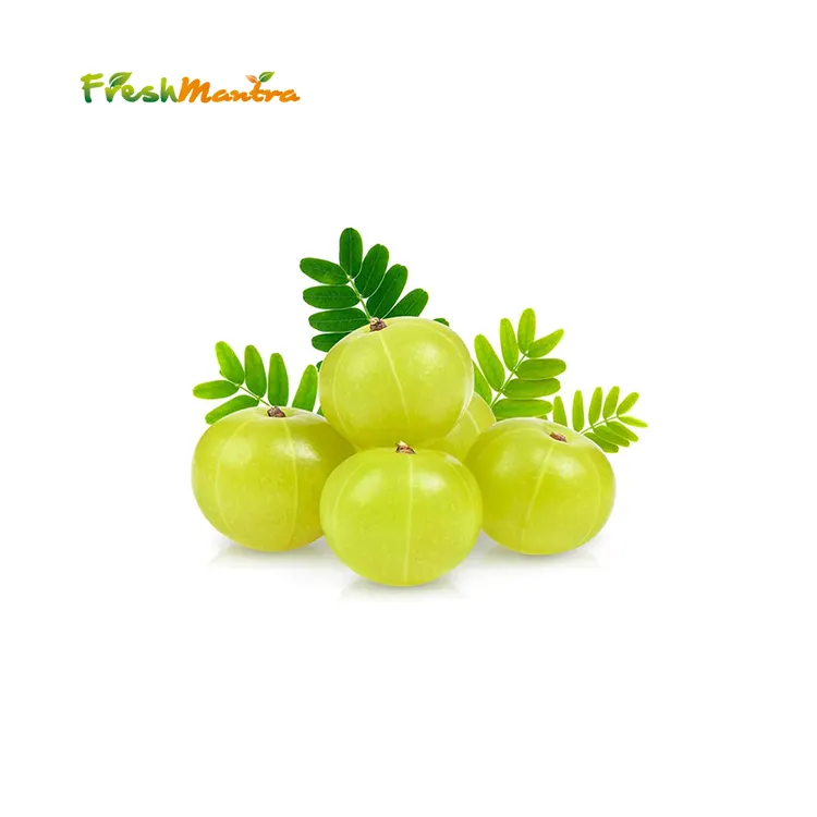 Phyllanthus Emblica Pure Amla Powder for Medical and Beauty Benefits