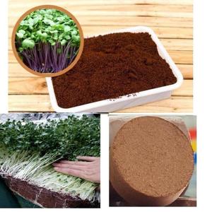 Việt Nam Delta nén Coco than bùn dừa mùn khối-Việt Nam Xuất xứ cho nông nghiệp trồng cây Tracy + 84 966 058 257 - Product Image 5