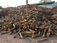 Charbon de bois activé du Vietnam pour barbecue, issue de bois dur, avec lève-bûches, durée de combustion de 5-6 heures, diamètre de 5-15 cm, 7900 calories, 3% de cendres