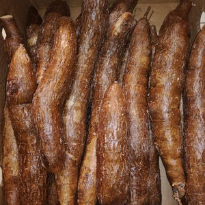 Yuca Fresca en Rodajas, Orgánica Premium de Alta Calidad, Certificada ISO, Tamaño 17cm, Peso 3kg, Maduración 70, Origen EE. UU. - Product Image 2