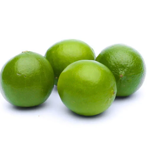 Yüksek kaliteli taze yeşil limon turunçgiller Vietnam toptan taze lime // Andrew + 84 353991115
