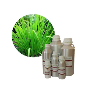 Ginger grass Oil botanical name cymbopogon martinii sofia from India used in fine cosmetics perfumery and aromatherapy