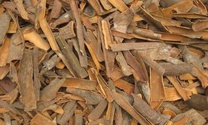 Canela Natural de Vietnam de Primera Calidad, Aroma Intenso, para Procesamiento de Alimentos y Uso Industrial - Product Image 5