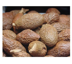 ส่วนลด Malva Nut/Sterculia Lychnophora,/Macromacropodum (WS: 0084987731263) - Product Image 1