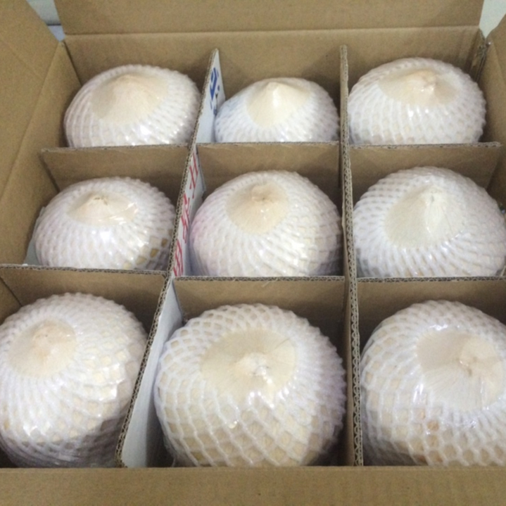 Свежий кокос/мученый кокос