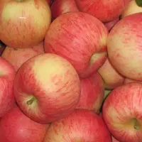 Свежие яблоки FUJI/яблоки Королевского торжества/Золотые Яблоки
