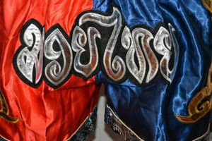 Muay Thai กางเกงขาสั้น MMA สำหรับผู้ชาย,กางเกงขาสั้นตกแต่งยิมมวยและเตะมวยขนาดใหญ่ - Product Image 5