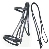 Bridon d'équitation en cuir véritable de haute qualité, style personnalisé, avec double sangle de nez relevée pour dressage, personnalisable
