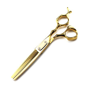 Ciseaux professionnels en acier inoxydable pour chien et chat, 5 pièces, de haute qualité, pour toilettage des animaux de compagnie - Product Image 1