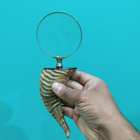 Poignée en corne de bélier de qualité supérieure, véritablement faite à la main, au design antique, avec loupe, à prix avantageux