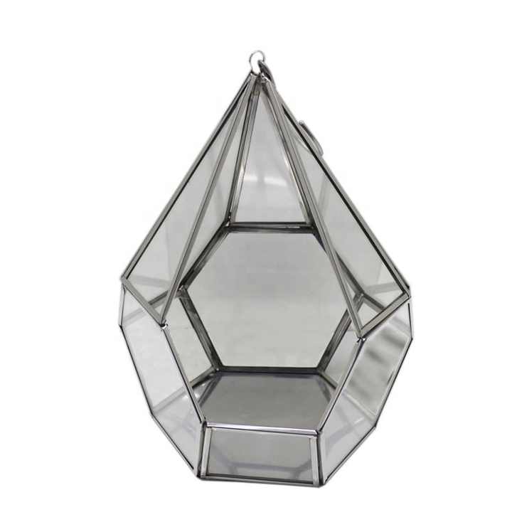 Garden Green House Glass & Stainless Steel Green House Polish Finishing Silver Colour Large Size Garden Buildings