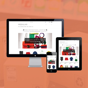 Empresa de Desarrollo de Sitios Web de Comercio Electrónico en India |   Servicios de Desarrollo de Sitios Web de Comercio Electrónico de Primera Categoría por Webroot Infosoft - Product Image 5