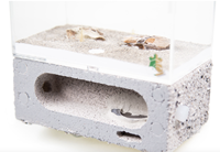 Fourmilière en plastique écologique et peu encombrante 15x9x15cm, modèle classique pour la décoration de chambre
