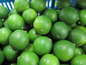[VENTES FLASH] CITRONS LIME SANS GRAINES FRAIS DU VIETNAM - Mme KIO HYUNH +84 34 375 8904 - Product Image 5