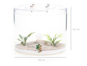 Nid de fourmis avec herbe et pierre naturelle, fait d'usine, Design de paysage naturel - Product Image 3