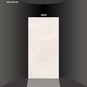 Carreaux de sol en porcelaine émaillée mate de 1er choix, polis, 60x120cm - Product Image 6