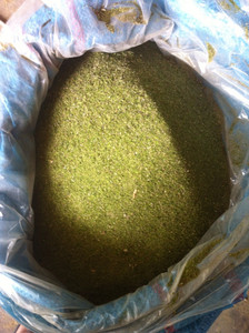 POLVO DE ALGA VERDE SECADA / ALGA ULVA LACTUCA - Product Image 6