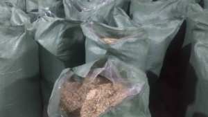 POLVO DE CONCHA DE CAMARÓN para FERTILIZANTE / POLVO DE CONCHA DE CAMARÓN para ALIMENTACIÓN - Product Image 3