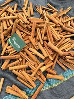 Bâtons de cannelle séchés, traitement brut, haute qualité, certifiés ISO, meilleur prix du Vietnam +84 363 565 928