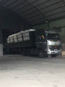 Amidon de tapioca vietnamien de qualité supérieure et exportation - Product Image 4