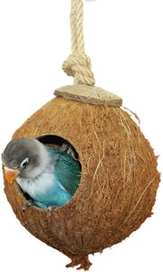 Eco2go Maison d'oiseau de noix de coco biodégradable écologique du Vietnam, option économique de petite taille pour vos oiseaux - Product Image 5