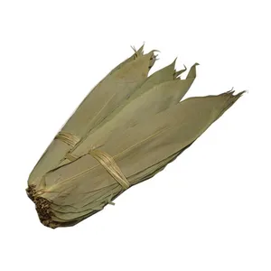 Newest Crop/ New Product in Vietnam - DRIED BAMBOO LEAF 99 Gold Data