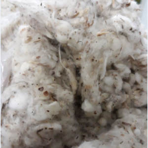 ขยะฝ้ายที่ไม่ฟอกขาว/บัตรลอย (แถบแบน)/lickerin A & B คุณภาพสูงสำหรับการส่งออก (Ms. xavia + 84 333371330) - Product Image 1