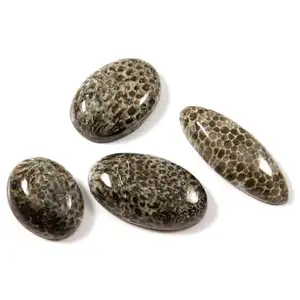 Natural Fossil Coral Loose Calibrated Gemstone Oval Wholesale Price