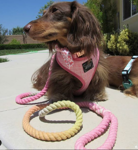 Pastel Soft Color Ombre Rope Dog <b>Leash</b> Handmade Hot Sale - Product Image 1