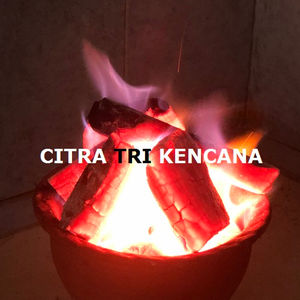 CUSTOMIZED BRAND NATURAL CHARCOAL GRILL FOR BBQ THIS WINTER IN HEAVY WOOD 4-10 CM SUPERMARKET/RESTAURANT Flacq MAURITIUS ISLAND - Product Image 1