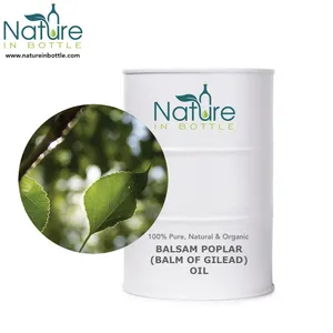 Organic Poplar Balsam Oil | Gilead Balm Essential Oil | Populus balsamifera - 100% Pure Essential Oils - Bulk Wholesale Price