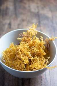 MUSGO DE MAR salvaje/EUCHEUMA COTTONII Fabricación de gel Seamoss de Vietnam- Mr. Pierre Luu - Product Image 4