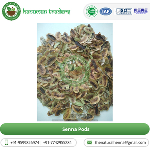 Sonamukhi Senna pods สารสกัดจากสมุนไพรธรรมชาติเกรดดีที่สุดในรูปแบบผง - Product Image 4