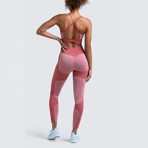 Ensemble de sport confortables pour femmes, soutien-gorge Push Up, pour la course à pied, le Fitness, Yoga, vente en gros, livraison gratuite - Product Image 6