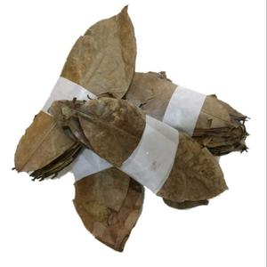 Feuilles de graviola/corossol séchées de haute qualité du Vietnam épices et herbes simples Shyn Tran - Product Image 2