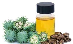 Aceite de Ricino 100% Puro y Natural, Prensado en Frío, Semillas de Ricinus Communis de la India, Certificado GMP, Cuidado de la Piel, Precio al por Mayor, Personalizable - Product Image 2