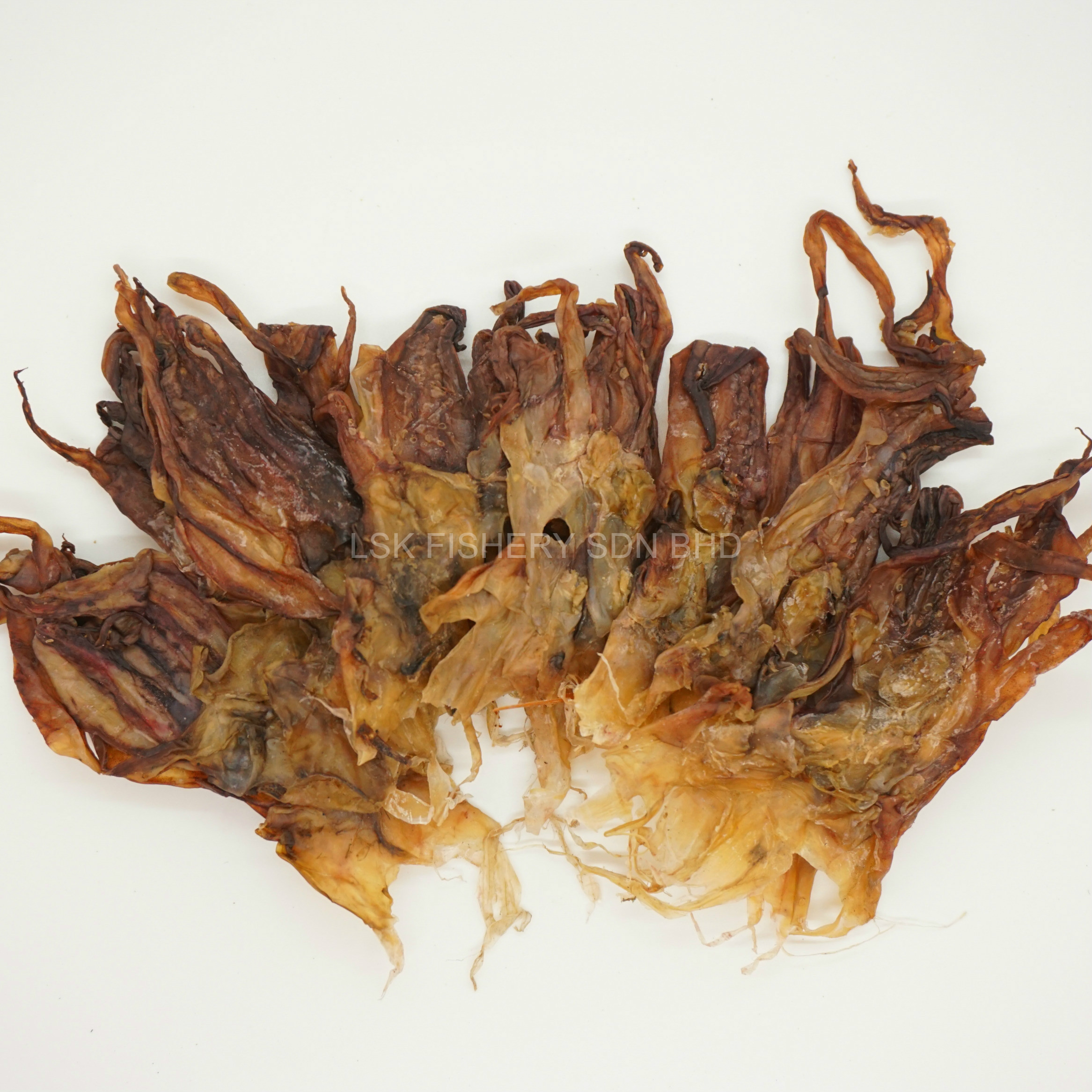 Сушеный кальмар голову/щупальце