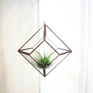 Terrarium nordique de luxe en forme de maison noire pour maison jardin hôtel bureau et spa décoration - Product Image 3