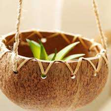 Très haute qualité de POT de noix de coco fait à la main pour jardin et jardinières 99GD - Product Image 4