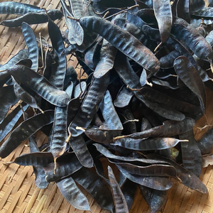 GLEDITSIA/ HONEY LOCUST/ FRUCTUS GLEDITSCHIAE PARA PELO HECHO EN VIETNAM (MS.LAURA) - Product Image 1