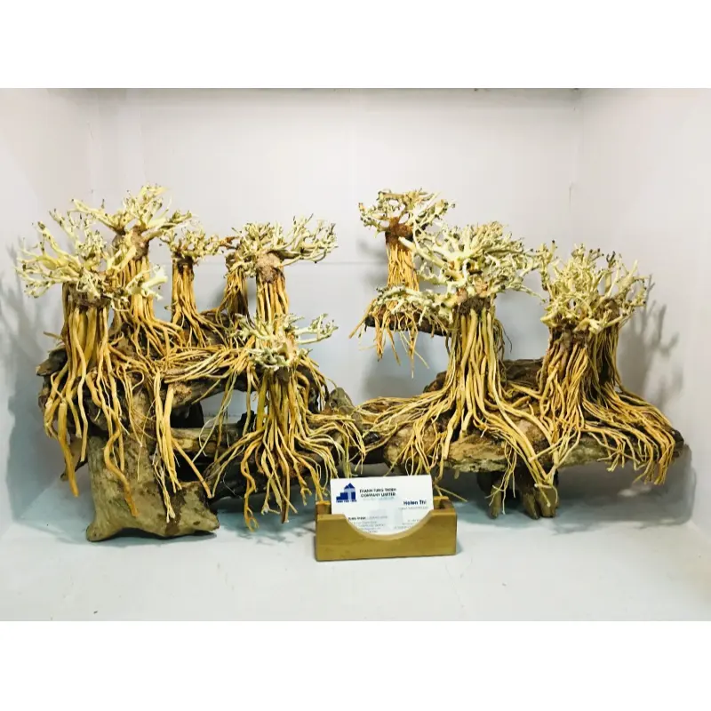 2023 Hot Items Groot Aquarium Bonsai Hout Decoratie Voor Aquarium Decoratie Whatsapp: + 84 961005832