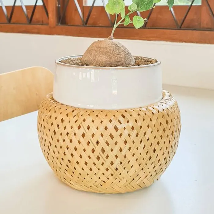 Handwoven Bamboe Manden, Geweven Plant Pot, Bamboe Indoor Plant Pot