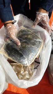 Gomme d'Aloe Vera Aloe Barbadensis Grade Régulier avec - Product Image 3