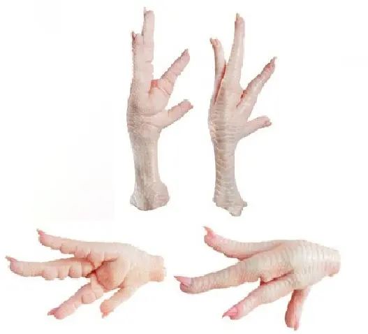 HALAL Grade (A) Chicken Feet / Frozen Chicken Paws - Grade (A)