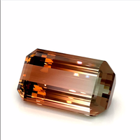 Pierre de bio-tourmaline naturelle certifiée IGI Pierres précieuses rares taillées dans un octogone à facettes Grossiste Boutique en ligne à Prix de revendeur Usine de bricolage