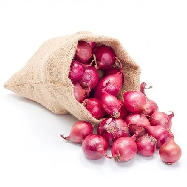 Vegetable SMALL ONION Organic Factory Supply Fresh onion Healthy Food Small Fresh Onion Fresh Non-peeled Common Round