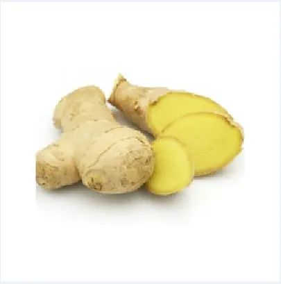 Organic Quality Fresh Ginger for Healthy Food/Ms. Tracy +84 904 183 651